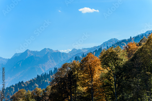 Sochi, Rosa hutor. The mountain view on a sunny automn day. Contrast colours of landscape, deep blue sky and bright utumnal leaves