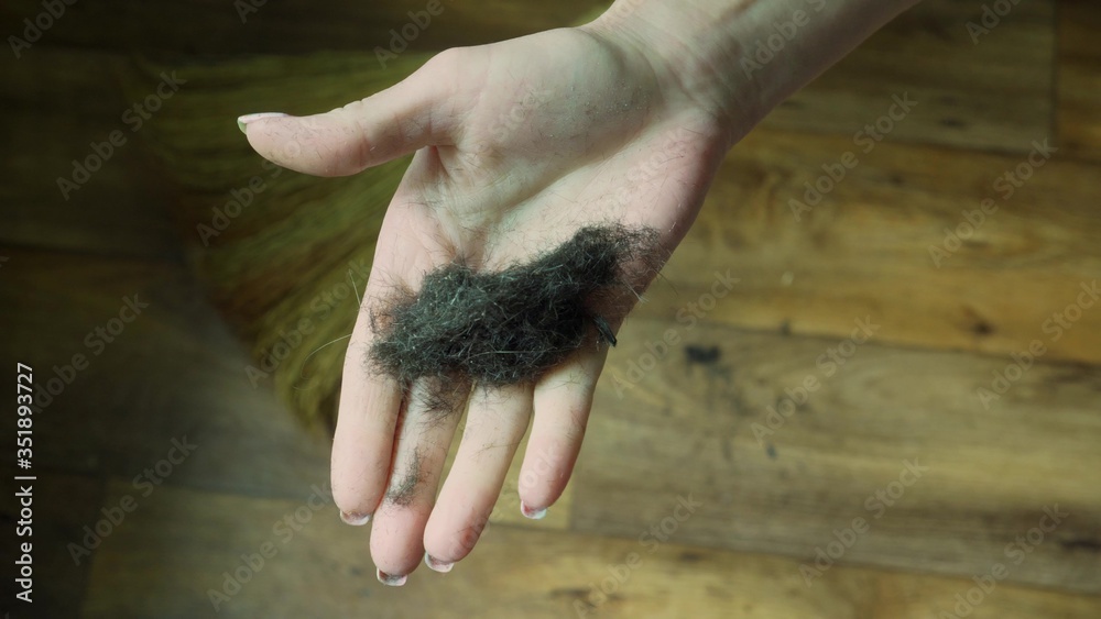A female hand collects and displays cropped black male hair. Dirty job.