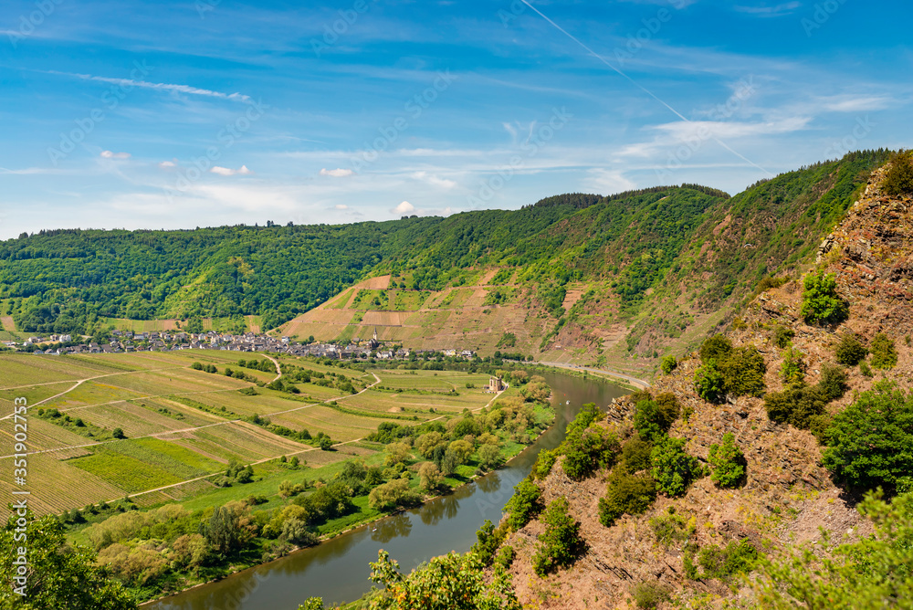 Beautiful, ripening vineyards in the spring season in western Germany, the Moselle river flowing between the hills. In the background of blue sky and white clouds.