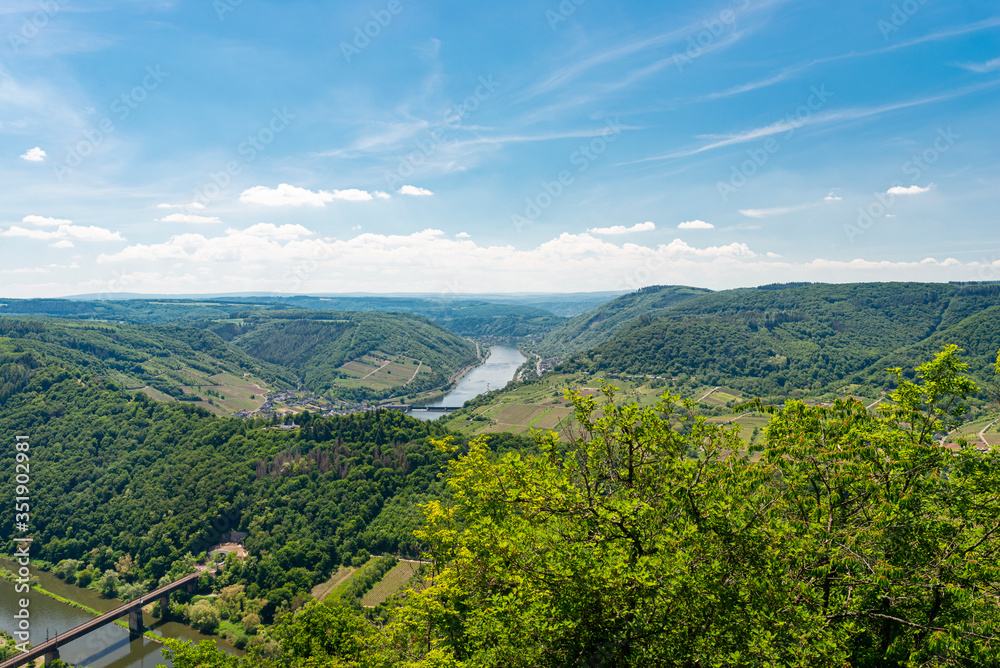 Beautiful, ripening vineyards in the spring season in western Germany, the Moselle river flowing between the hills. Visible railway bridge over the river. 
