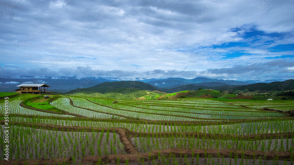 Ban Pa Pong Piang rice terraces field in Chiangmai province of Thailand.