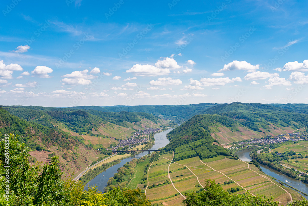 Beautiful, ripening vineyards in the spring season in western Germany, the Moselle river flowing between the hills. In the background of blue sky and white clouds.