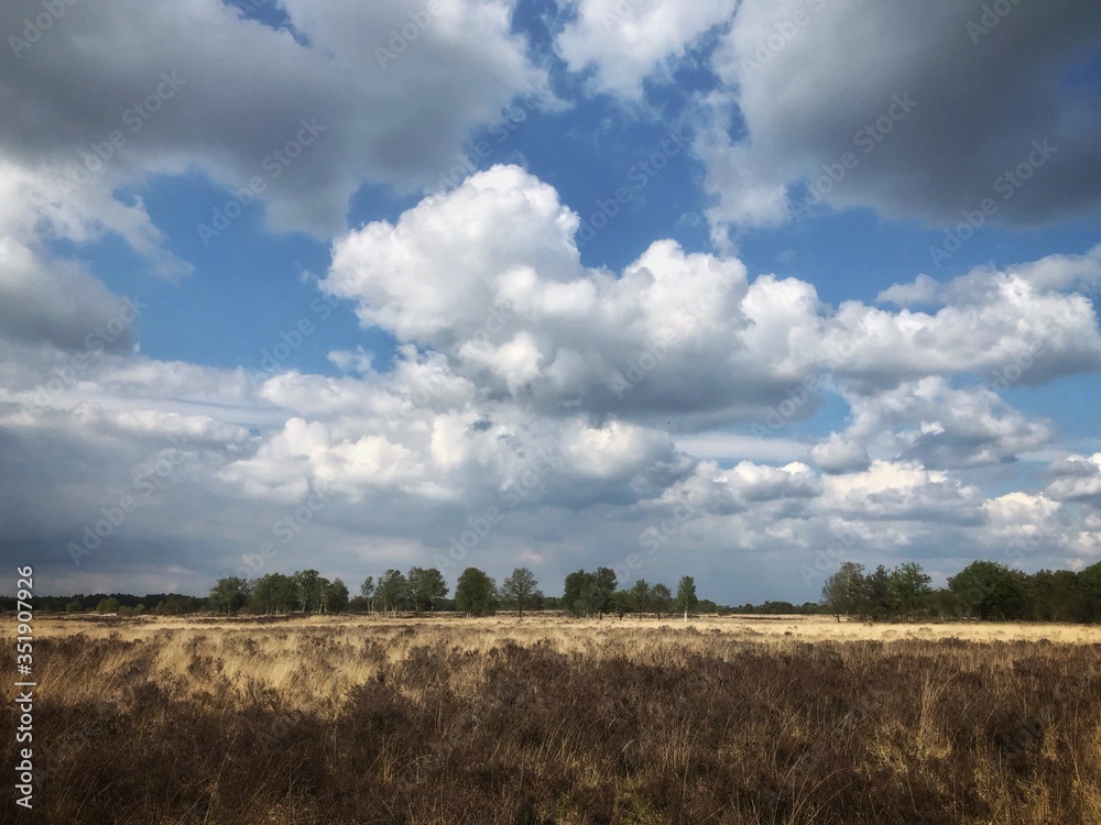 Heatherfield Havelte. Clouds. Drenthe Netherlands