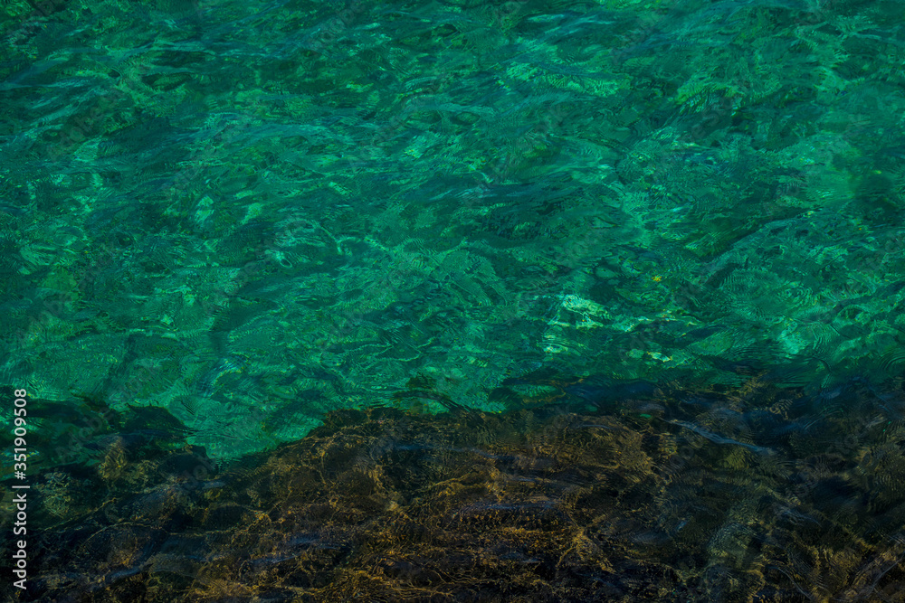 green water surface green water surface
