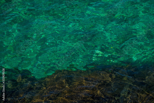 green water surface © Ash