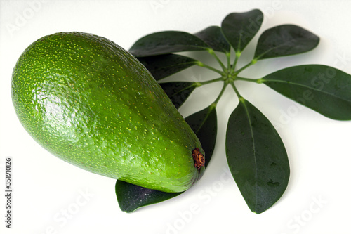 avocado, greens on a white background