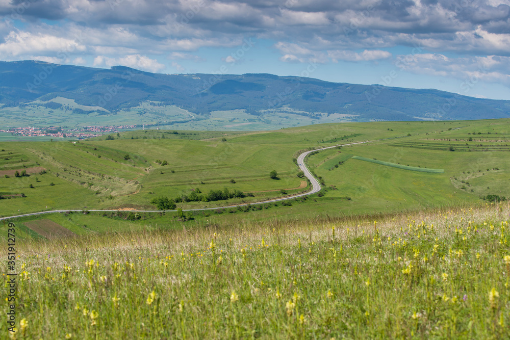 Curving asphalt road on green hills at springtime , spring flowers on green meadow on the foreground, blue Carpathian mountains on the background.