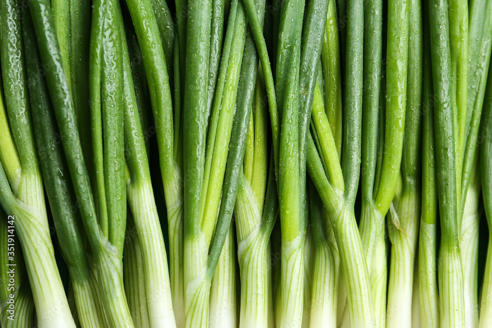 Fresh green spring onions as background, top view Fresh green spring onions as background, top view