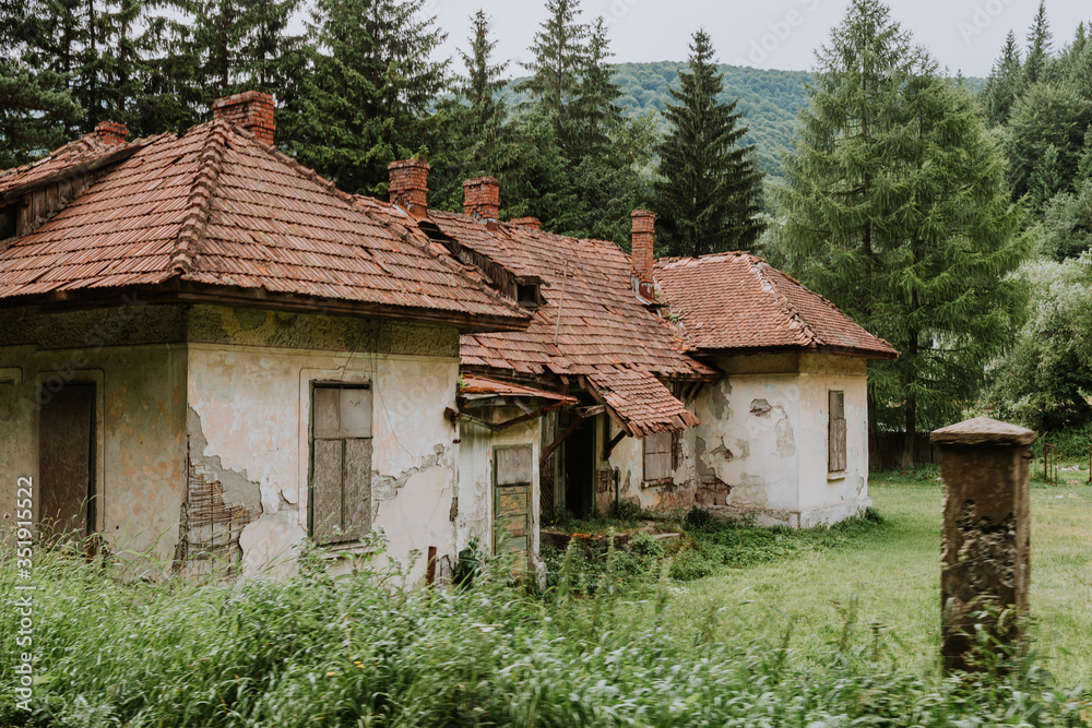 Rural landscape with lush green fields and farm house