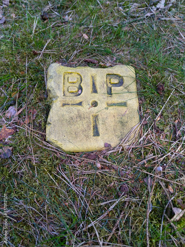 Letters GDP BIP on a stone