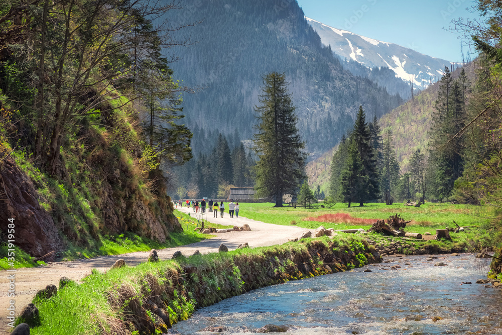 View of Koscieliska Valley in Tatra mountains, Poland