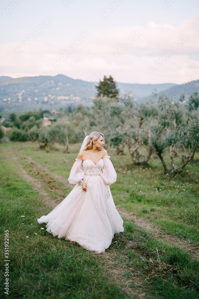 Wedding at an old winery villa in Tuscany, Italy. The bride in a white wedding dress in an olive grove.