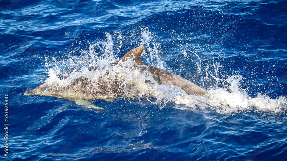 Obraz premium Great Barrier Reef, Australia