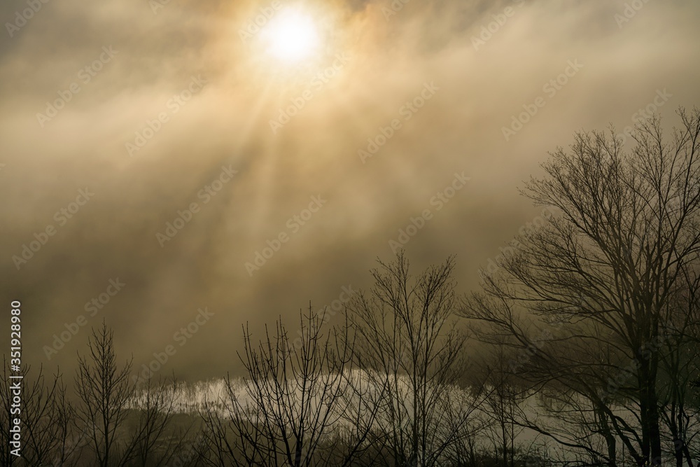 Foggy spring sunrise at Mono Cliffs Provincial Park, Ontario Foggy spring sunrise at Mono Cliffs Provincial Park, Ontario