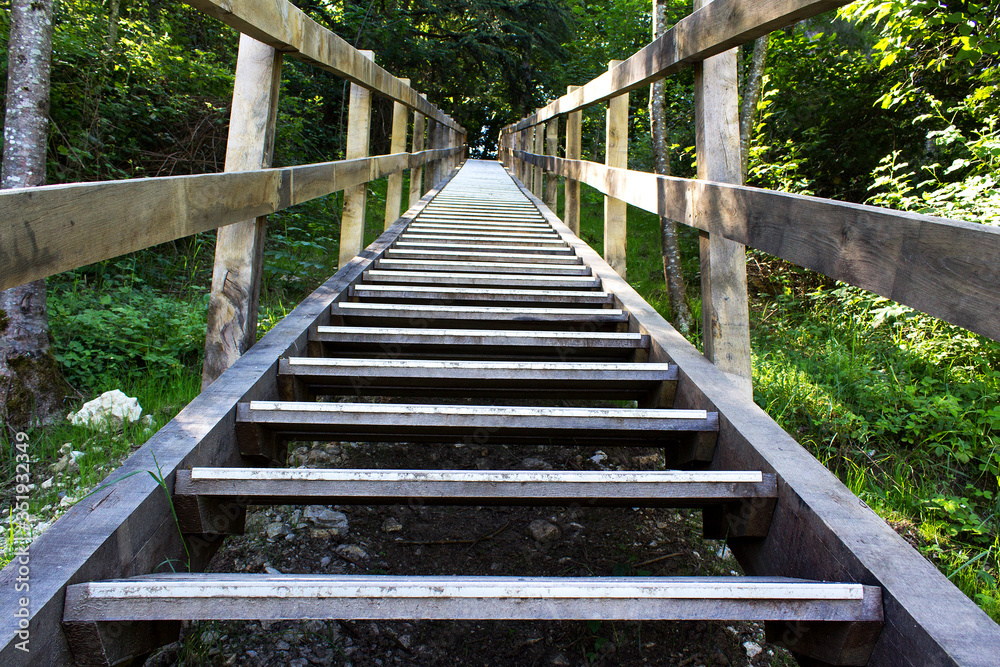 Wooden stairs way up into summer city park sports walk run concept 