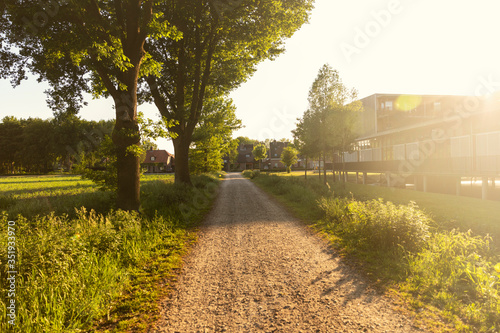 A walking path in Eersel, The Netherlands surrounded by trees and greenery and a swing in the background. Shot on a sunny day during sunset, idyllic scenery photo