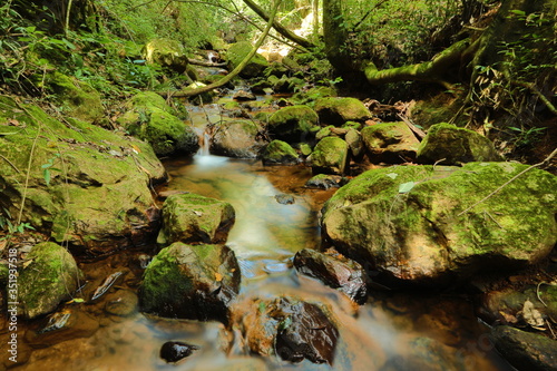 water source form stream in mountain range