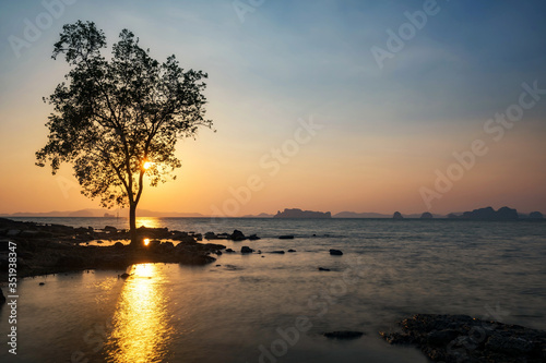 Standing tree and sea at sunset  Krabi