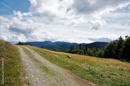 Dirt road in front of mountain ridges of the Vosges