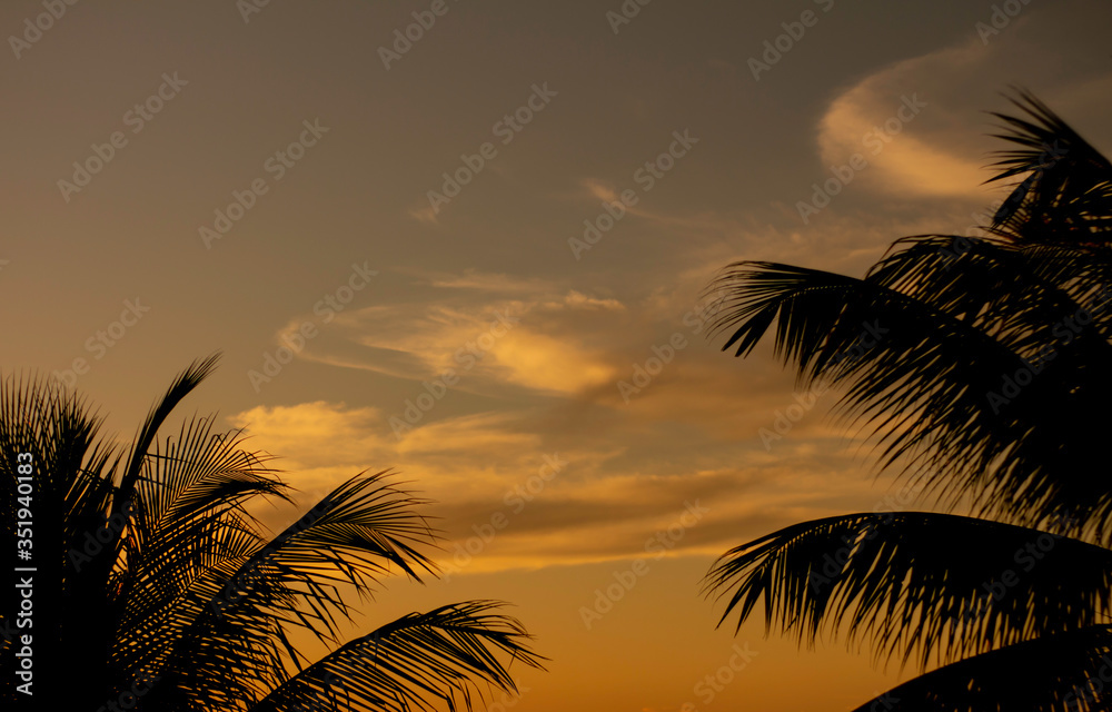 Shocking and beautiful sunset between coconut or palm trees. Tropical vacation landscape.