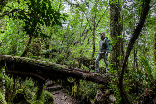 Tourist standing on a fallen tree on a trail in the mountains of chilean patagonia