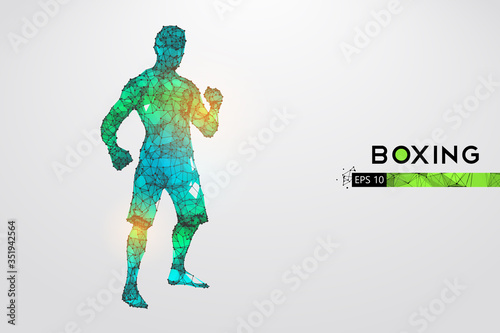 Abstract silhouette of a wireframe boxer fighter with boxing gloves on the white background. Boxer is winner. Convenient organization of eps file. Vector illustration. Thanks for watching