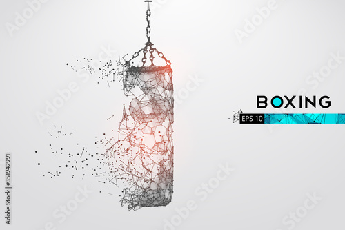 Abstract silhouette of a wireframe punching bag on the white background. Boxing sports equipment. Boxer is winner. Convenient organization of eps file. Vector illustration. Thanks for watching