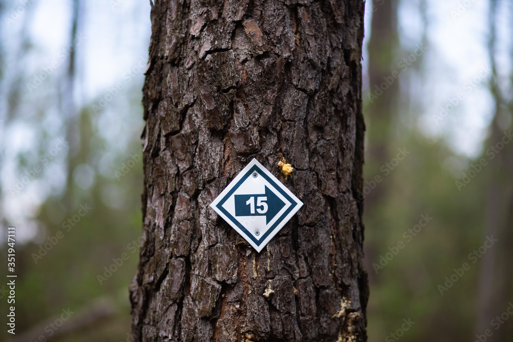 Fototapeta premium The number 15 sign