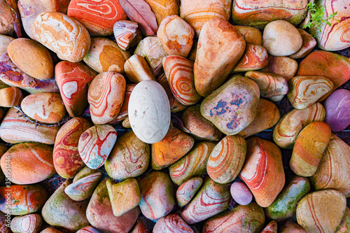 colorful river stones on the garden