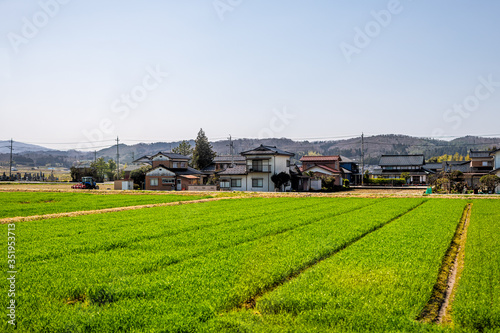 Toyama, Japan countryside near Gifu prefecture during springtime with traditional farm houses and green field for crops and mountains in view photographed from train