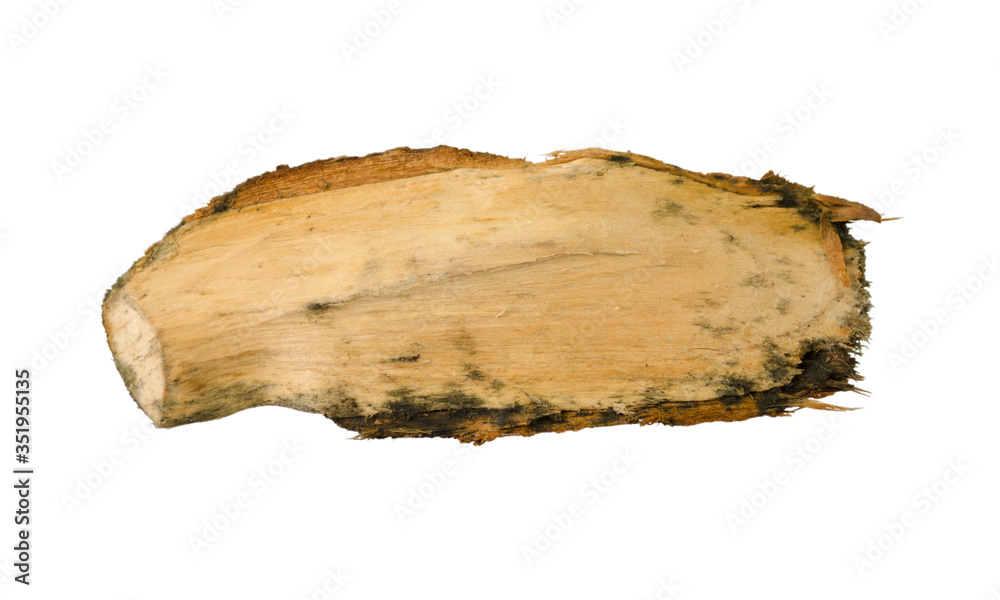 Wooden splinter or piece of bark isolated on white background. Item for mock up, scene creator and other design. Wooden splinter or piece of bark isolated on white background. Item for mock up, scene creator and other design.