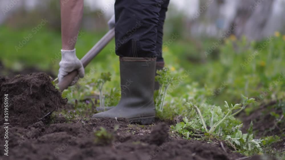 Farmer is digging and cultivating soil using shovel. Fertile soil, black earth processing. Hand labour, agriculture, cultivation, recultivation, tillage concept Farmer is digging and cultivating soil using shovel. Fertile soil, black earth processing. Hand labour, agriculture, cultivation, recultivation, tillage concept
