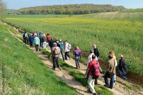 Groupe de randonneurs sur un chemin à travers champs