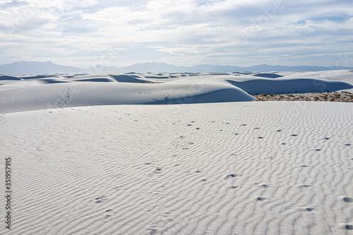 White sands dunes national monument hills of gypsum sand and plants shrubs by Alamagordo  New Mexico USA with Organ mountains on horizon at sunset