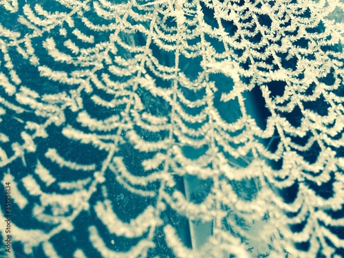 nahaufnahme eiskristalle spinnennetz