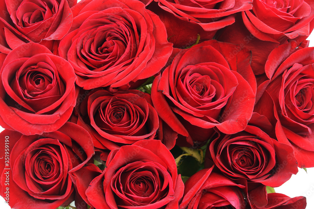 fresh red roses in a bouquet as background