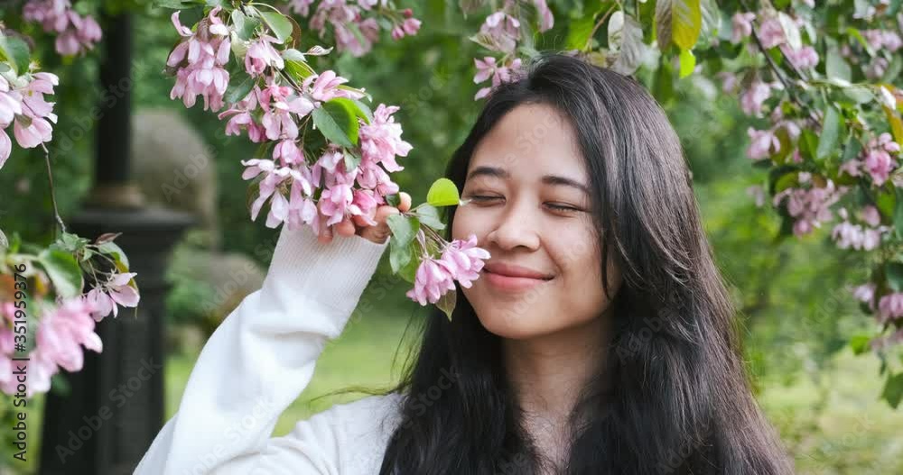 Beautiful asian girl is smelling flowers on tree. Sakura or apple tree with pink Beautiful asian girl is smelling flowers on tree. Sakura or apple tree with pink