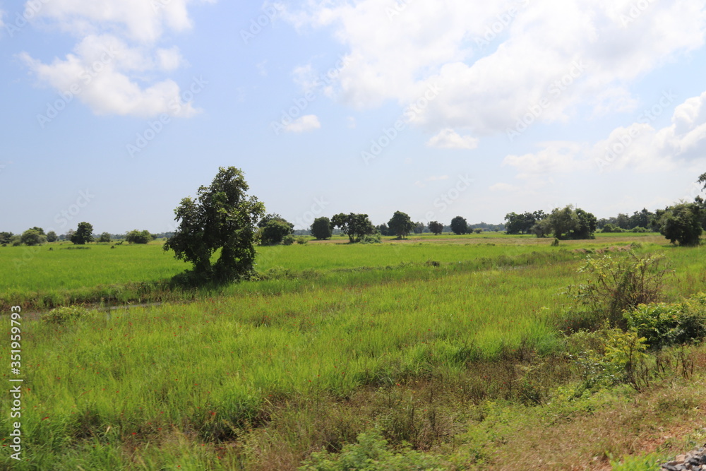 Paysage rural à Battambang, Cambodge	