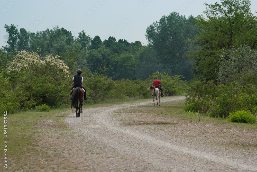 le persone a cavallo galoppano nel sentiero del bosco le persone a cavallo galoppano nel sentiero del bosco