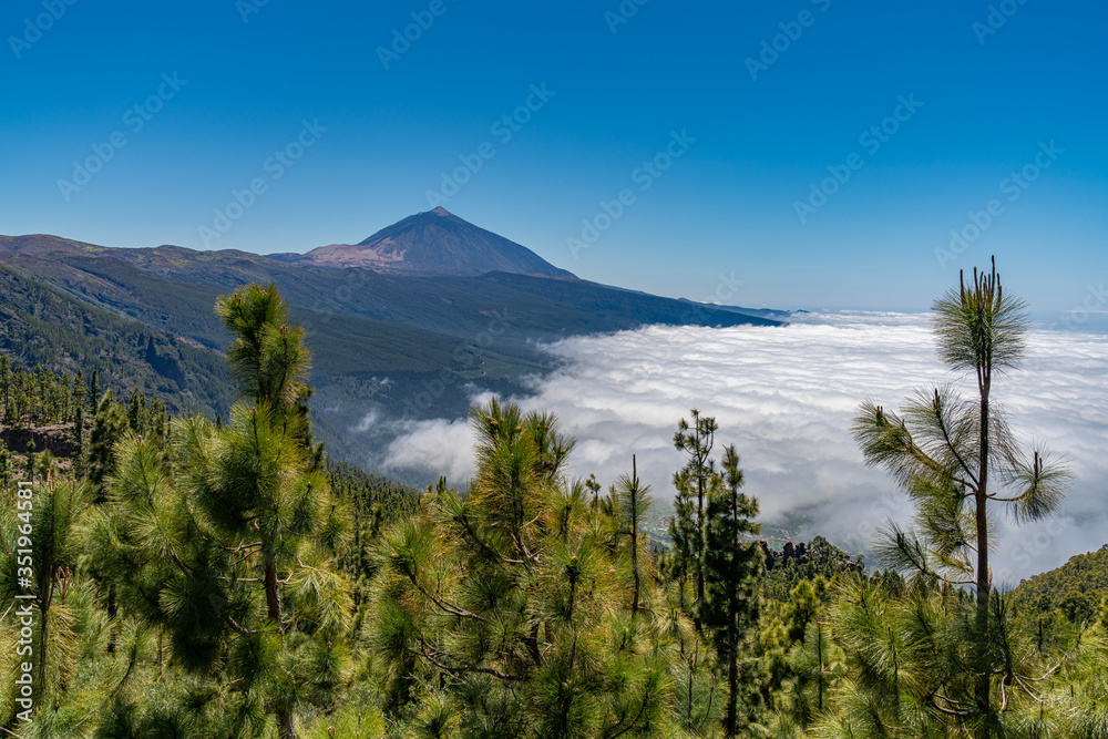 Blick über die Kiefernwälder auf den Gipfel des Vulkan Teide