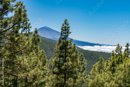 Blick über die Kiefernwälder auf den Gipfel des Teide-Vulkans