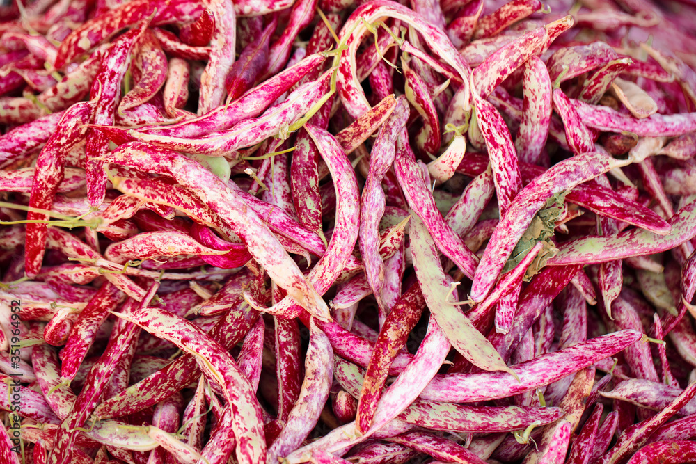 Fototapeta premium fresh and organic kidney beans vegetables.