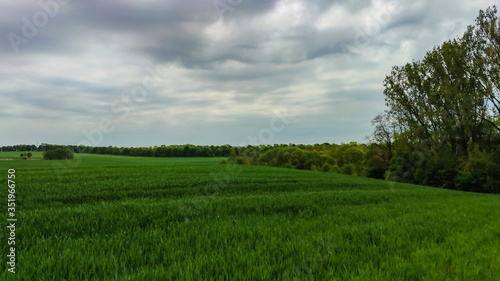 Agriculture field landscape in the spring season