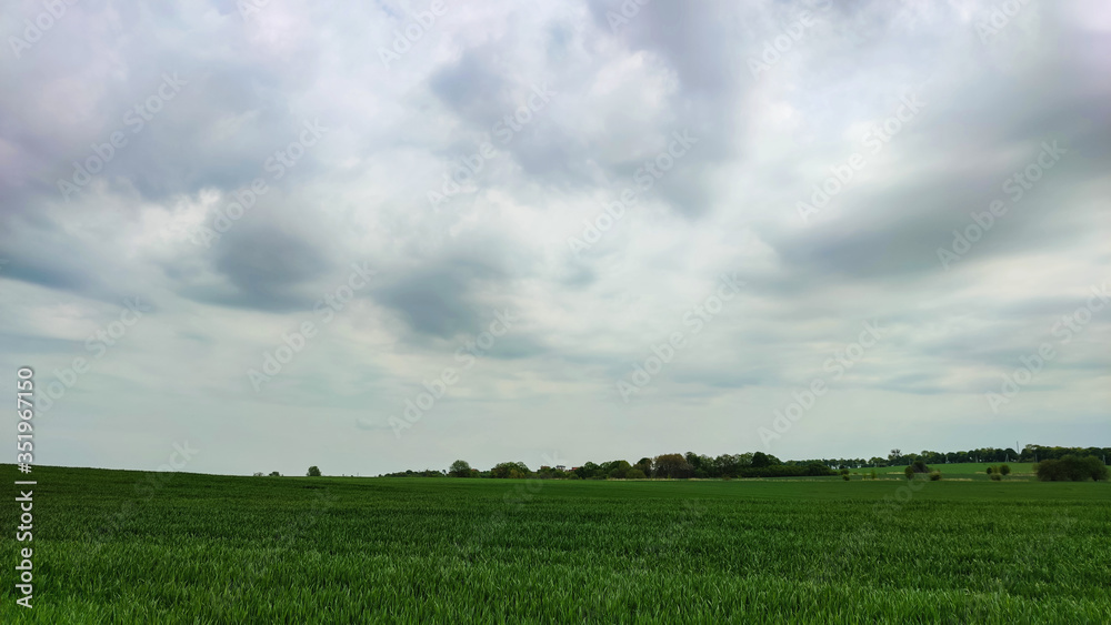 Agriculture field landscape in the spring season