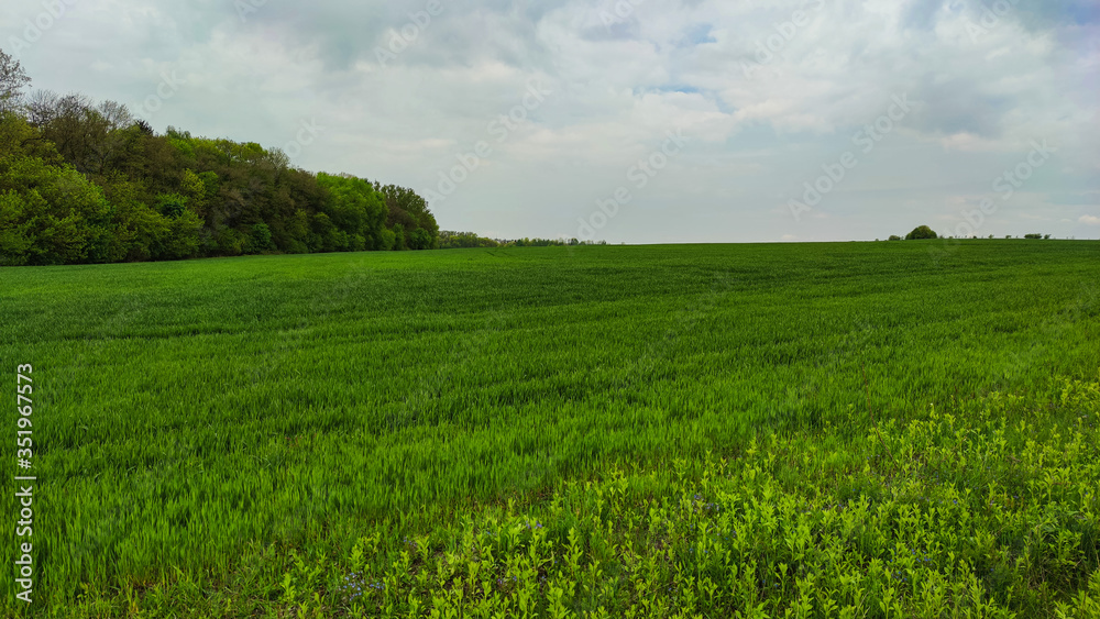 Obraz premium Agriculture field landscape in the spring season