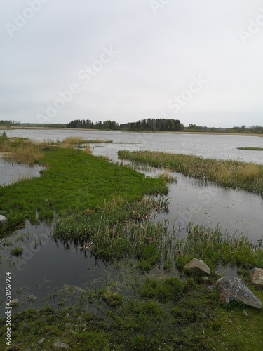 Fototapeta Naklejka Na Ścianę i Meble -  landscape with river
