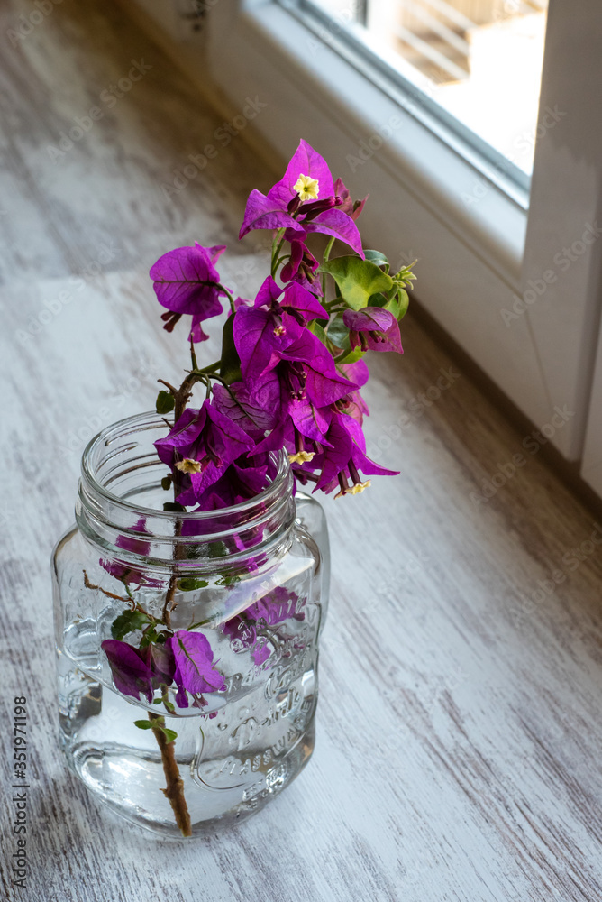 Beautiful branch with violet flowers in a transparent vintage jug on the windowsill