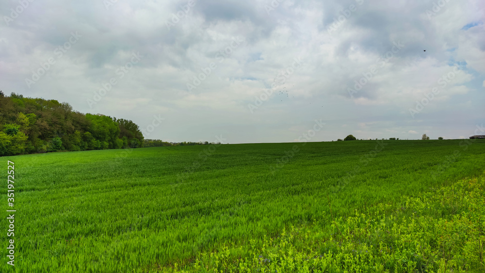 Agriculture field landscape in the spring season Agriculture field landscape in the spring season