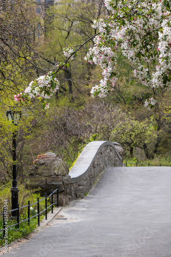 Spring 2020-Coronovirus..Central Park, New York City- Gapstow bridge at Spring time.
