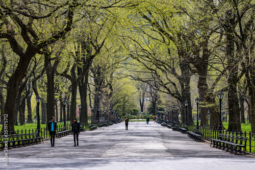 Obraz na płótnie Manhattan, NY, USA- 4/17/20: people during the time of coronavirus in Central park w salonie